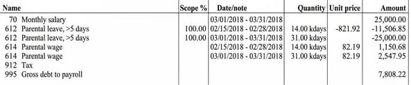 The image shows an example of a gross debt that has arisen for an employee.