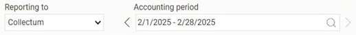 The image shows selection of reporting and accounting period options.