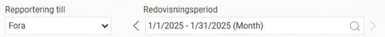 The image shows which pension reporting option has been selected as well as the accounting period.