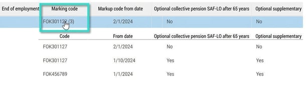 The image shows all marking codes during the reporting month for the selected employee.