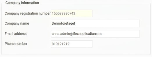 The image displays the fields relevant to the company's information.