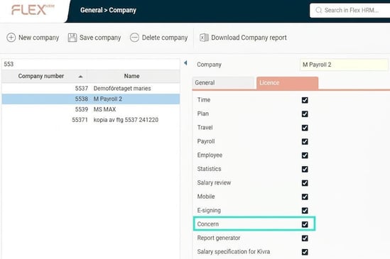 The image shows a checked checkbox for the setting to activate the Concern licence in the company.