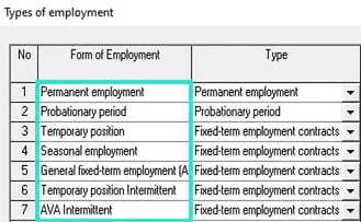 The image shows the list of types of employment in Flex Classic.