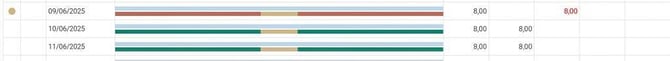 Approval view. Three rows with graphical time rows (showing schedule, attendance, absence, break in colours), plus day balances.