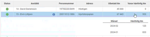 Bilden visar detaljuppgifter för hänförlig lön.