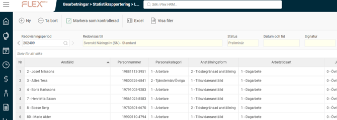 Bilden visar översikt av ett underlag för lönestrukturstatistiken.