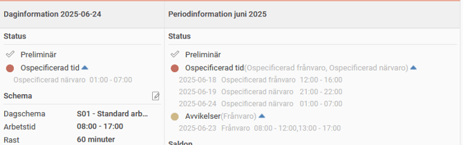 Bild på daginformation och periodinformation som visar information om ospecifierad tid och avvikelser.