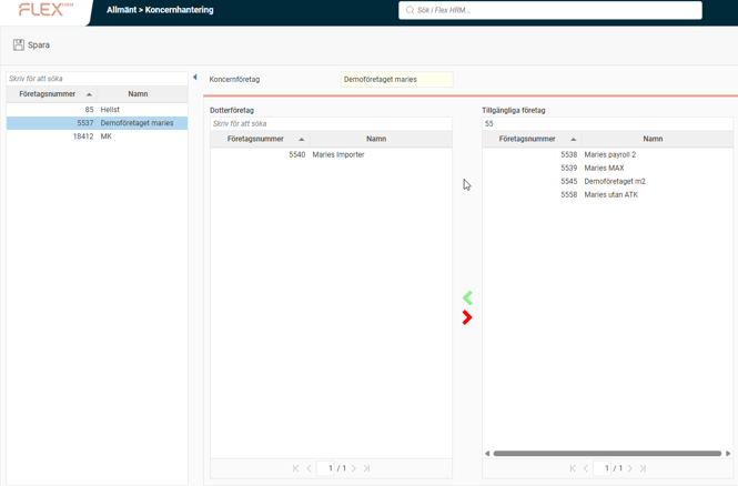 Bilden visar tre kolumner där den första visar moderföretag, denadra visar dotterbolag och den tredje visar övriga företag som man kan lägga till som dotterbolag.